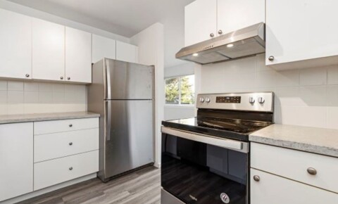 Apartments Near Seattle Vocational Institute Ekilai Apartments - Spacious 1 Bed and 2 Bed Units, w/ Private Balcony ~ Designer finishes + W/D in Unit! for Seattle Vocational Institute Students in Seattle, WA