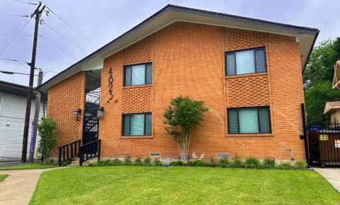 Apartments Near Strayer University-North Dallas NUVO Sunset for Strayer University-North Dallas Students in Dallas, TX