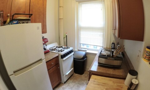 Apartments Near The BAC Updated Studio - Laundry - Pet Friendly  for Boston Architectural College Students in Boston, MA