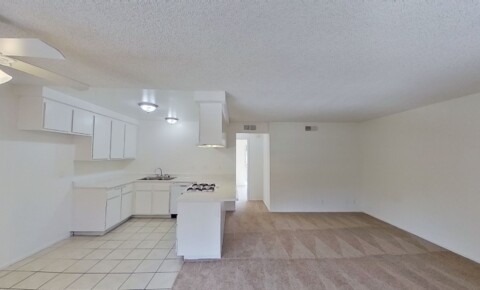 Apartments Near CCCD 533 N. Tustin Ave for Coast Community College District Students in Coasta Mesa, CA
