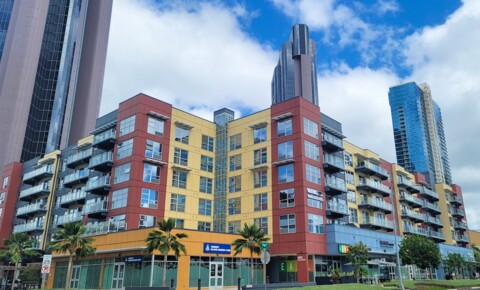 Apartments Near Hawaii AVAILABLE in MAY - 1BR / 1Bath / 1Pkg - Rental In Kaka'ako for Hawaii Students in , HI