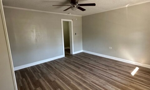 Apartments Near Corinth Academy of Cosmetology Remodeled One Bedroom Apartment In Corinth, MS  for Corinth Academy of Cosmetology Students in Corinth, MS