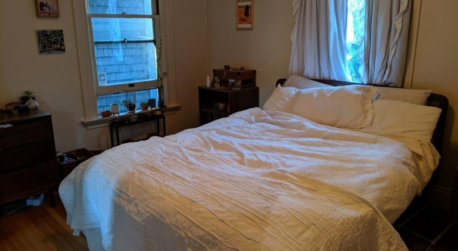 Lovely bedroom for rent in clean organized Berkeley House. Gustavo Lopez AMSI 