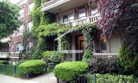 Apartments Near Canton Gorgeous 2 bed in Allston for Canton Students in Canton, MA