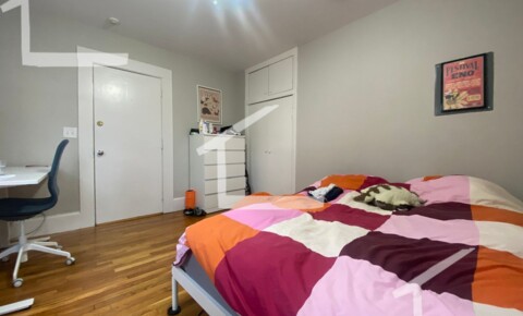 Apartments Near Somerville RIverside studio , Available 7/1 Call Now !  for Somerville Students in Somerville, MA