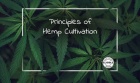 Principles of Hemp Cultivation