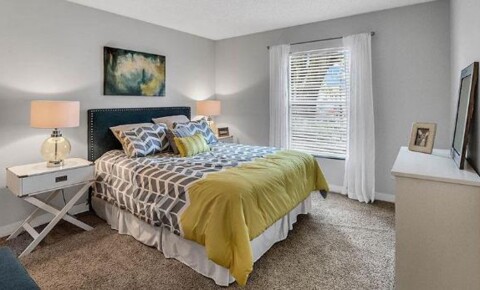 Apartments Near USF 5510 N Himes Avenue for University of South Florida Students in Tampa, FL