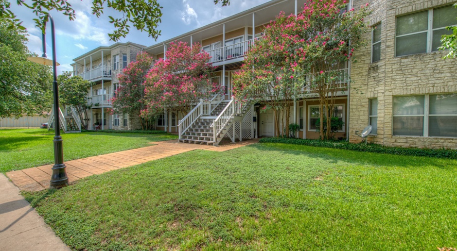 UT PRE LEASE: Updated and Spacious 1 bed 1 bath, North Campus Condo, W/D, Walk to UT 