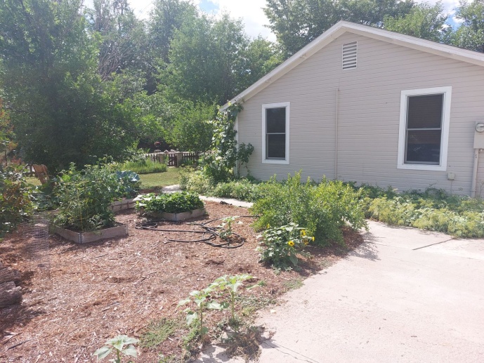 Cute 3 Bedroom Ranch Minutes to Old Town and CSU