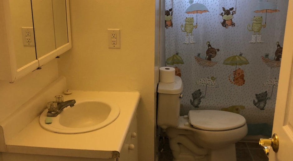 Lovely 3 bedroom/2 bathroom home in East Davis