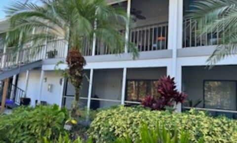 Houses Near Hodges ** JANUARY 2-FEBRUARY 1, 2024 RENTAL FOR YOU FOR THE MONTH!!!  SANDPIPER WEST ** SEASONAL HIGHLY DESIRABLE LOCATION! NAPLES for Hodges University Students in Naples, FL