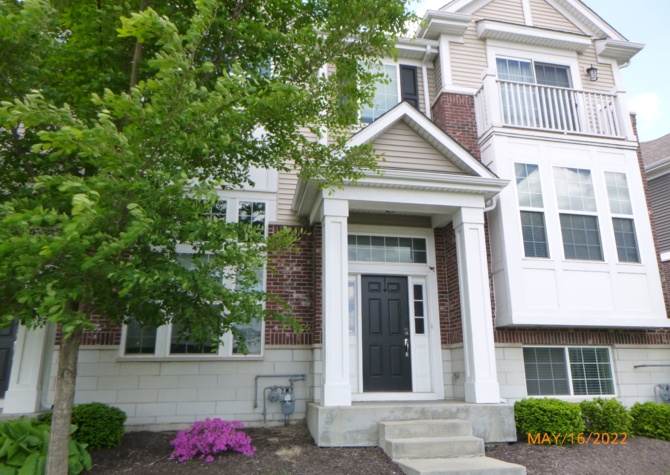 Houses Near Luxury Naperville Townhome