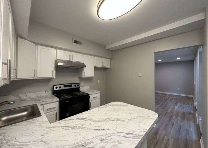 Apartments Near For Rent: Contemporary Urban Living at 1125 Light St – Your City Oasis Awaits!