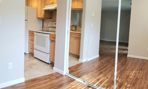 Apartments Near Bastyr 2Bdrm 2Bthrm, Quiet and Washer-Dryer Inside! for Bastyr University Students in Kenmore, WA