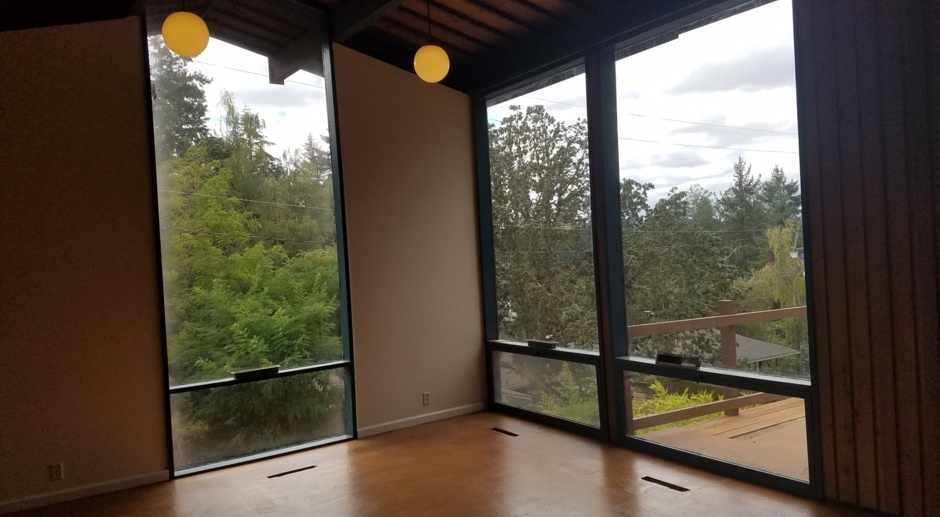 Unique Hillside Campus Home w/Floor to Ceiling Windows!!!