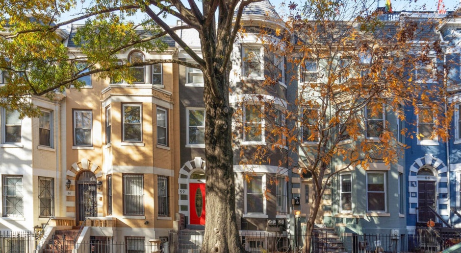 Renovated 1br 1ba in Ledroit Park, NW DC 