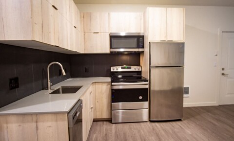 Apartments Near Linfield College-School of Nursing Fabulous Modern 1 Bedroom w All the Bells and Whistles!  for Linfield College-School of Nursing Students in Portland, OR