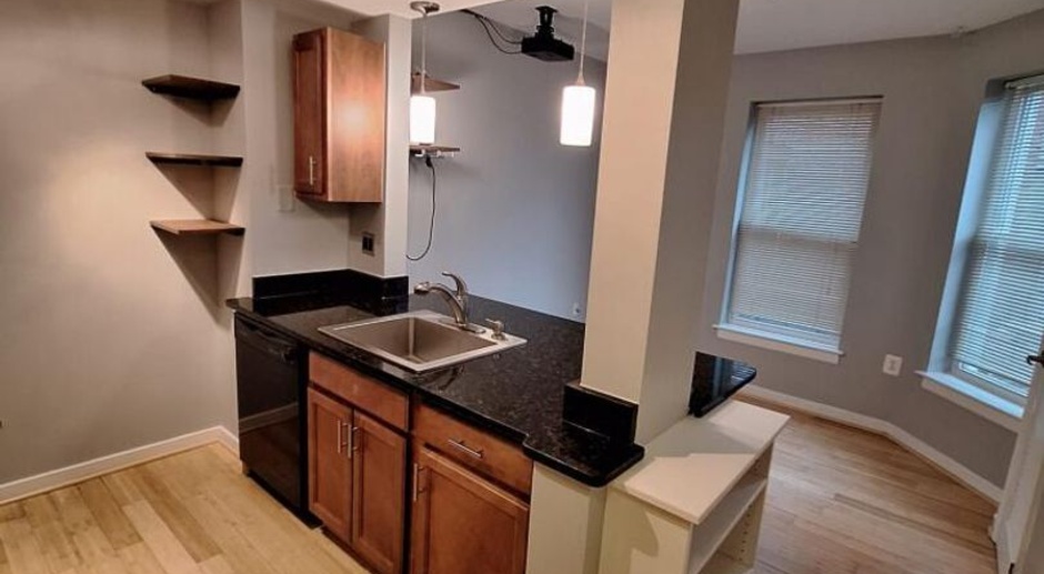 Charming, Spacious and Sunlit 1 BD, 1 BA 3rd Floor Walk-up in Columbia Heights NW!!!
