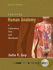 Learning Human Anatomy