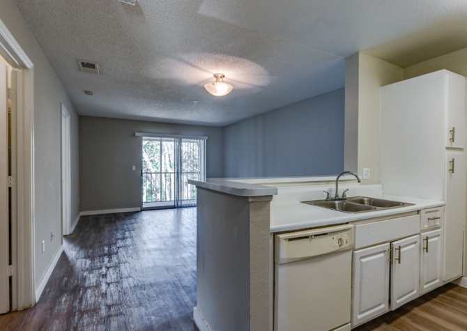 Apartments Near Collington Apartments: Explore Our 2/2 and 3/2 Units with Exciting Offers!