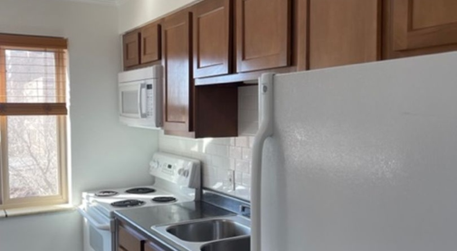 Albion Apartments - Newly Renovated in 2023 with in-unit Washer and Dryer!