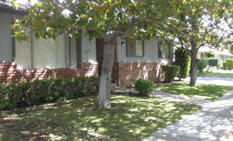 Apartments Near Campbell Hollis Avenue for Campbell Students in Campbell, CA