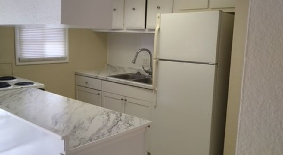 2 Bedroom Condo in Orlando for Rent