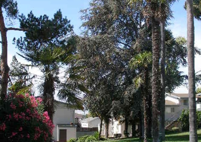 Apartments Near 1711 Tanager Avenue
