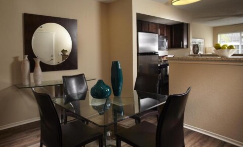 Apartments Near CAU 4600 NW 114th Avenue for Carlos Albizu University Students in Miami, FL