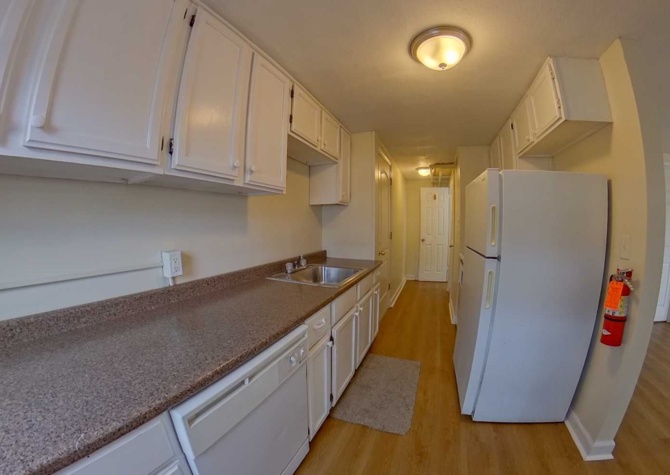 Houses Near 3D Tour Available - Centrally located 1 bedroom apartment with Washer & Dryer in Building! Available August 5th!