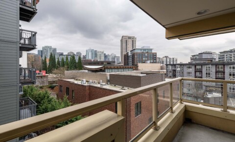 Apartments Near Bakke Graduate University Centre Court  for Bakke Graduate University Students in Seattle, WA