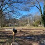 Lot only 160'x85' with electric pole ready and sewer city limits R2