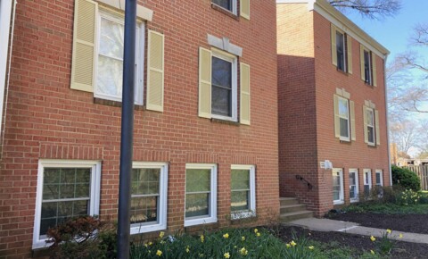 Apartments Near District of Columbia Nicely Updated Terrace Level  1/1 condo for District of Columbia Students in , DC