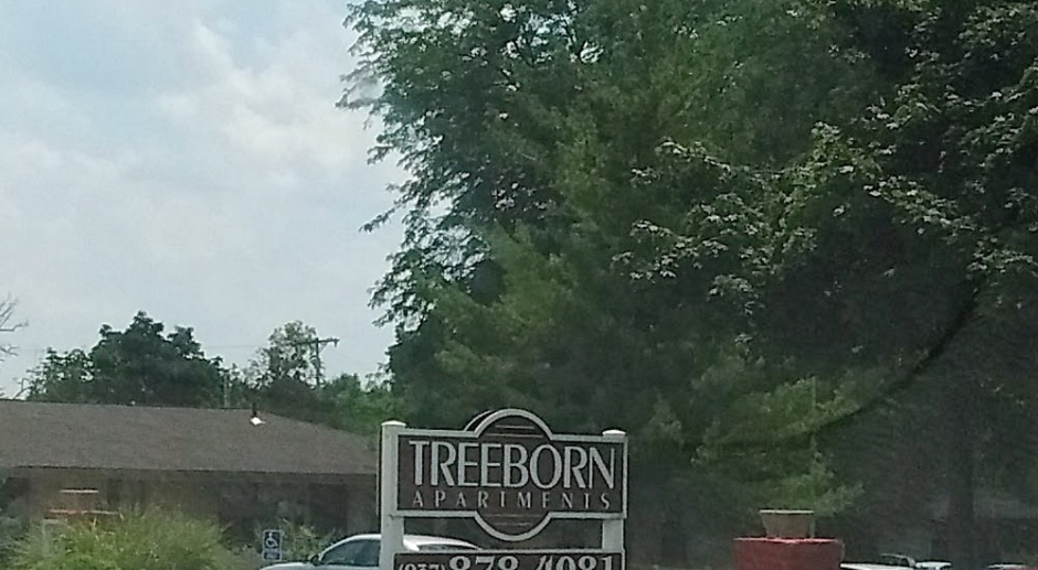 Treeborn Apartments