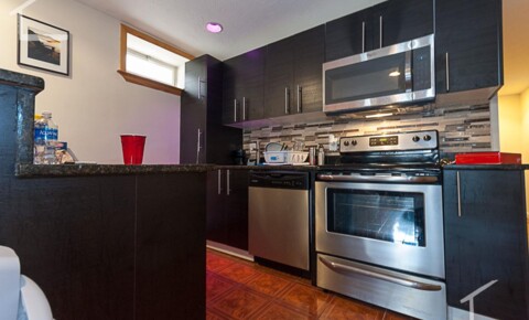 Apartments Near BU Steps from Agganis Arena. Garden Level Unit. Fully Renovated for Boston University Students in Boston, MA