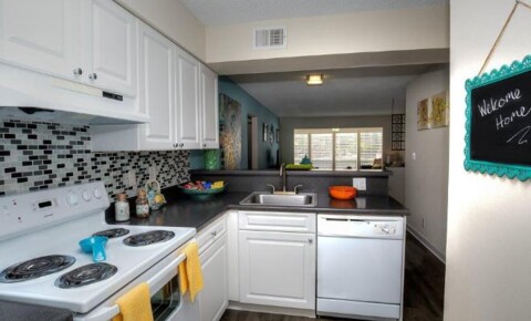 Apartments Near Tampa 2545 NE Coachman Road for Tampa Students in Tampa, FL