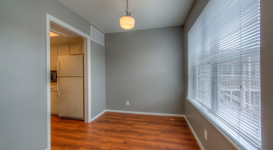 UT PRE LEASE: Updated and Spacious 1 bed 1 bath, North Campus Condo, W/D, Walk to UT 