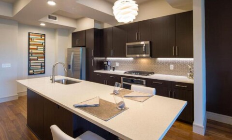 Apartments Near Astrodome Career Centers 1414 Wood Hollow Drive for Astrodome Career Centers Students in Houston, TX