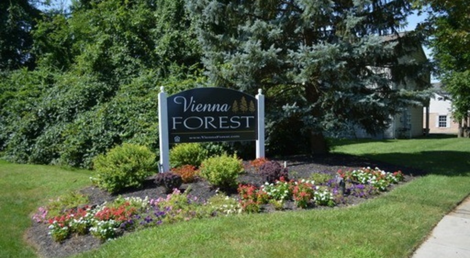Vienna Forest Apartments &amp; Townhomes