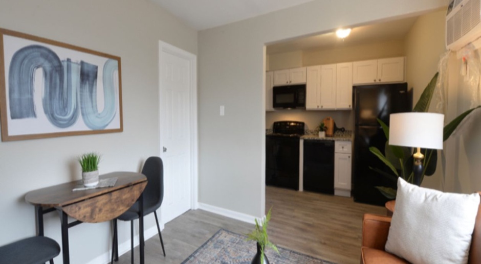 Newly Renovated All Electric 1 Bedroom in Maplewood