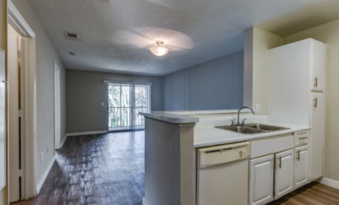 Apartments Near Rollins Collington Apartments: Explore Our 2/2 and 3/2 Units with Exciting Offers! for Rollins College Students in Winter Park, FL