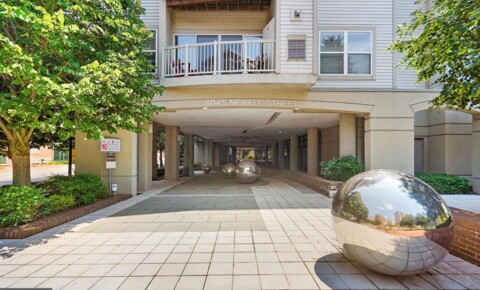 Apartments Near Bethesda Commuter’s Dream Sanctuary - Blocks to Silver Spring Metro! for Bethesda Students in Bethesda, MD
